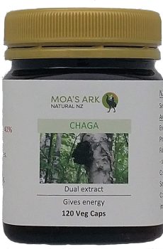 Chaga Mushroom Dual Extract 120 Veg Capsules live health vitamin supplement