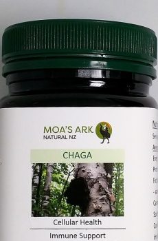 Chaga Dual Extract – 120 Veg Caps