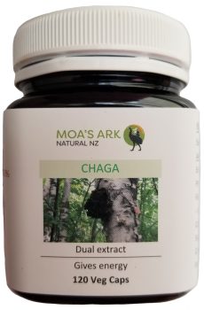 Chaga Mushroom Extract 120 Veg Capsules