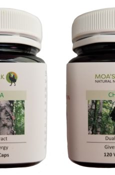 Chaga Mushroom Twin Pack