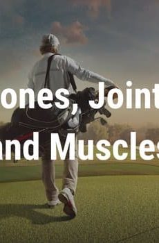 Bones Joints and Muscles from $NZD36.02